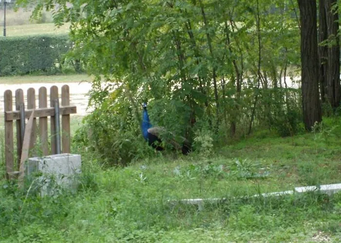 Agriturismo Il Campone Hotel Pavia